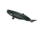 【海の動物 フィギュア】マッコウクジラ