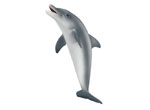 【海の動物 フィギュア】イルカ
